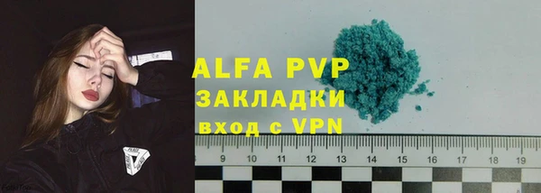 трава Аркадак