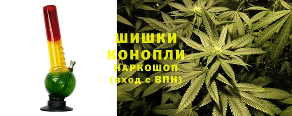 трава Аркадак