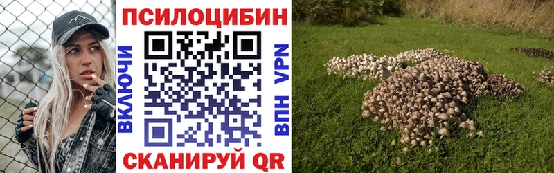 Псилоцибиновые грибы GOLDEN TEACHER  купить наркотики цена  Белово 